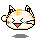 TiNyCaFejY