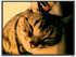 abnerlin07jY