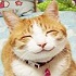 MIA媺jY