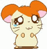 ccyao.twjY
